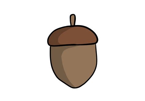 acorn drawing|acorn drawing for beginners.